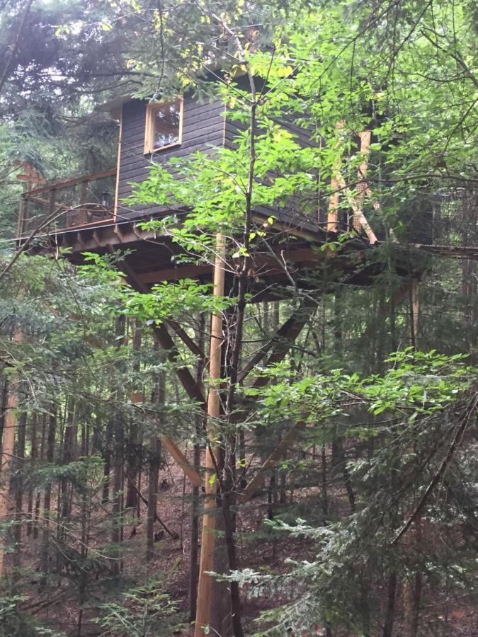 Cabane De L'Ecureuil Ξενοδοχείο Châtel-Guyon Εξωτερικό φωτογραφία